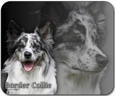 Mousepad Border Collie #14